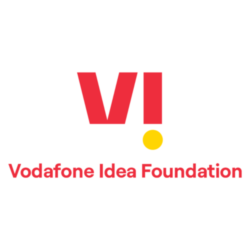 VI Foundation