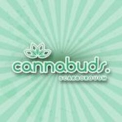 cannabuds logo