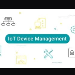 Secure IoT Remote Access