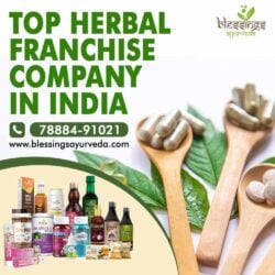 Top-Herbal-Franchise-Company-in-India