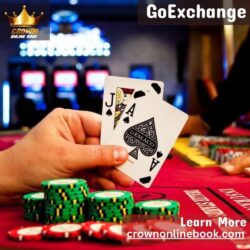 GoExchange (2)