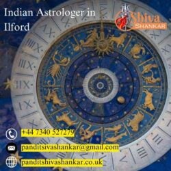 Indian Astrologer in Ilford