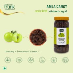 natures-trunk-amla-candy