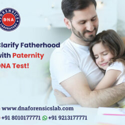 paternity dna test