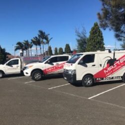 pest control sydney