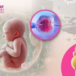 Best IVF Centre in Bangalore