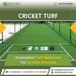 Cricket turf