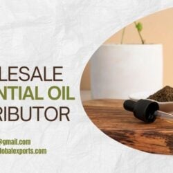 Best Wholesale Essential Oil Distributor