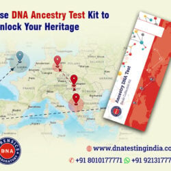 Use-DNA-Ancestry-Test-Kit-to-Unlock-Your-Heritage