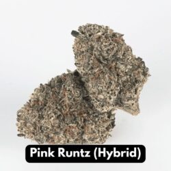 Pink-Runtz-2-1