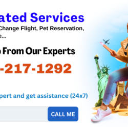 Travel Related Services