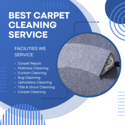 Best carpet Cleaning Servicev 500 - 500