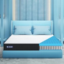 Spring Mattresses