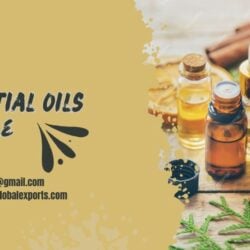 Bulk Essential Oils for Sale