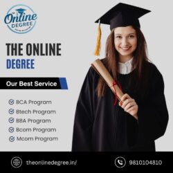 The Online Degree 3