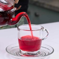 Hibiscus-Tea-Square