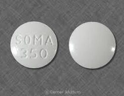 soma7 (5)