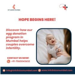 Egg Donation Program in Mumbai IVF Clinics Mumbai_1