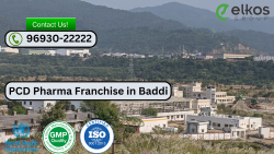 PCD Pharma Franchise in Baddi 1