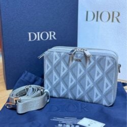 fake Dior bag (14)