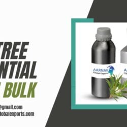 Buy Pure Tea Tree Oil in Bulk at Wholesale Price