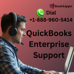 QuickBooks Enterprise Support (1)